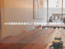ERP沙盘模拟角色是什么？如何有效提升团队协作？