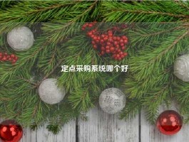 定点采购系统哪个好