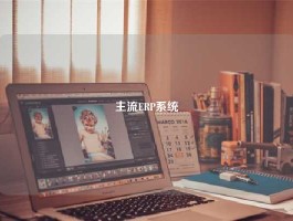 主流ERP系统