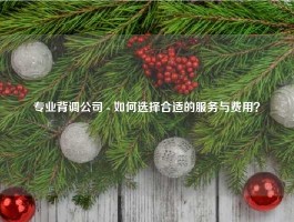 专业背调公司 - 如何选择合适的服务与费用？