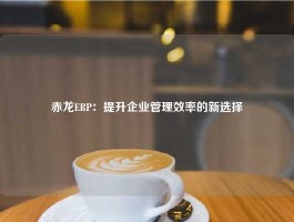 赤龙ERP：提升企业管理效率的新选择