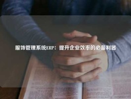 服饰管理系统ERP：提升企业效率的必备利器