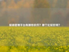 报销管理平台有哪些软件？哪个比较好用？