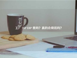 工厂 SAP ERP 贵吗？真的会烧钱吗？