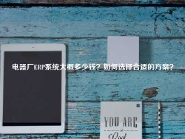 电器厂ERP系统大概多少钱？如何选择合适的方案？