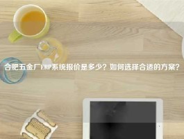 合肥五金厂ERP系统报价是多少？如何选择合适的方案？