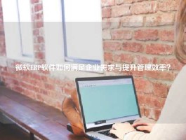 微软ERP软件如何满足企业需求与提升管理效率？