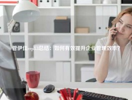 管伊佳erp3.3总结：如何有效提升企业管理效率？