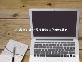 ERP数据：企业数字化转型的重要基石