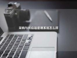 采购与供应链管理系统怎么样