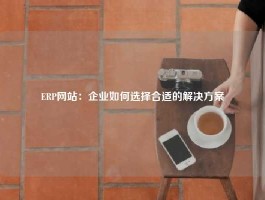 ERP网站：企业如何选择合适的解决方案
