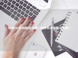 领星ERP采购模块在哪？如何有效使用及设置？