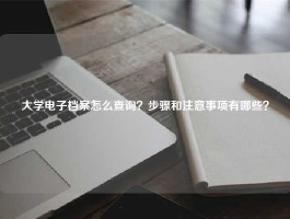 大学电子档案怎么查询？步骤和注意事项有哪些？