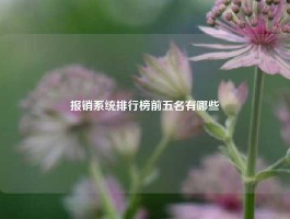 报销系统排行榜前五名有哪些