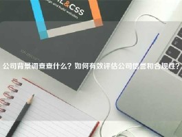 公司背景调查查什么？如何有效评估公司信誉和合规性？