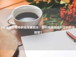 ERP现场工程师职业发展路径：如何规划和提升您的职业前景？