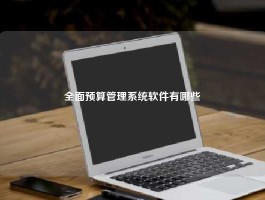 全面预算管理系统软件有哪些