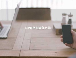 ERP财务报表怎么填