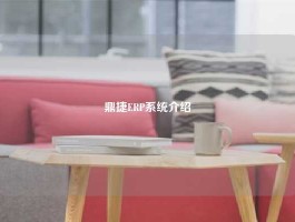 鼎捷ERP系统介绍