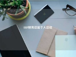 ERP财务总监个人总结