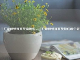 工厂流程管理系统有哪些，工厂流程管理系统软件哪个好