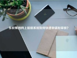 东软集团网上报销系统如何快速申请和审核？