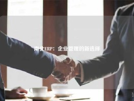 南北ERP：企业管理的新选择