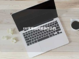 ERP实施顾问是做什么的