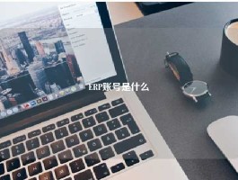 ERP账号是什么