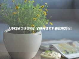 人事档案包括哪些？了解关键材料和管理流程！