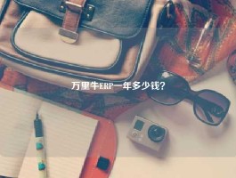 万里牛ERP一年多少钱？