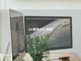 ERP都有什么系统