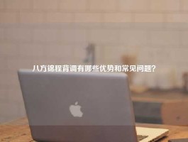 八方锦程背调有哪些优势和常见问题？