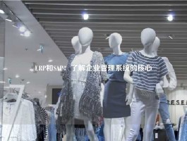 ERP和SAP：了解企业管理系统的核心