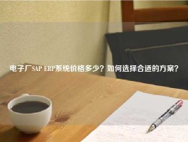 电子厂SAP ERP系统价格多少？如何选择合适的方案？