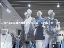 ERP沙盘实训心得体会文档下载，你的收获是什么？