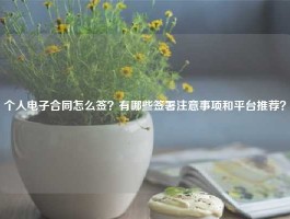 个人电子合同怎么签？有哪些签署注意事项和平台推荐？