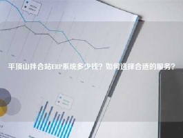 平顶山拌合站ERP系统多少钱？如何选择合适的服务？