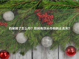 档案掉了怎么办？如何有效补办和防止丢失？