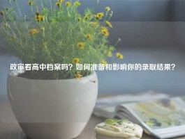政审看高中档案吗？如何准备和影响你的录取结果？