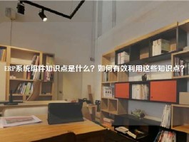 ERP系统组件知识点是什么？如何有效利用这些知识点？