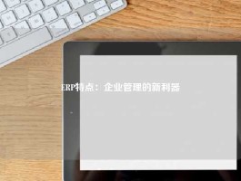ERP特点：企业管理的新利器