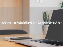 西安皮具厂ERP系统价格是多少？如何选择合适的方案？