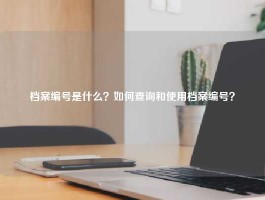 档案编号是什么？如何查询和使用档案编号？
