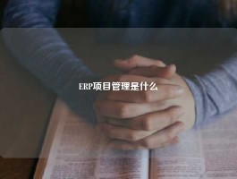 ERP项目管理是什么