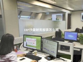ERP沙盘财务报表怎么填