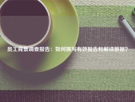 员工背景调查报告：如何撰写有效报告和解读数据？