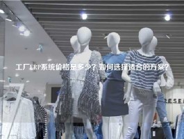 工厂ERP系统价格是多少？如何选择适合的方案？