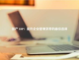 国产 ERP：提升企业管理效率的最佳选择