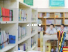做ERP的公司